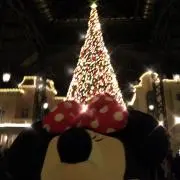 ymの画像