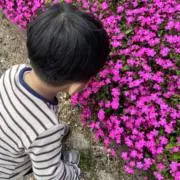 あちの画像