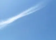 またろの画像