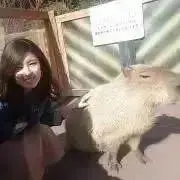 みお