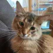 hirotti25の画像