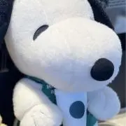 melの画像