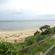 たかっちの画像