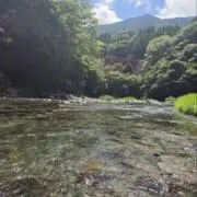 さきの画像