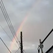 カレー風呂の画像