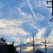 parmigianoの画像