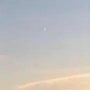 ゆうの画像