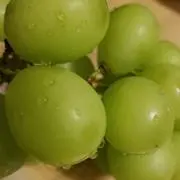 リッキー