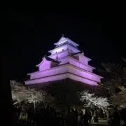 のんの画像