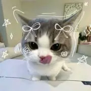 Jeebee
