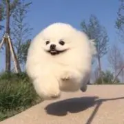 断捨離中！の画像