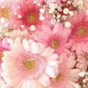 ♡Arigatougozaimasu♡の画像