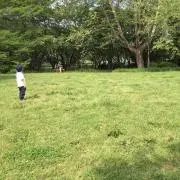 nutteeの画像