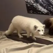 ◎の画像
