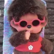 もんちっちのもんちゃんの画像