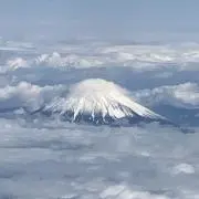 sushi　※プロフ必読の画像