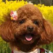 まろん♡の画像