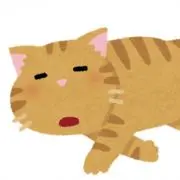 mi