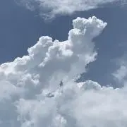さんまるこの画像