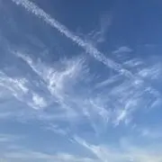アリスの画像