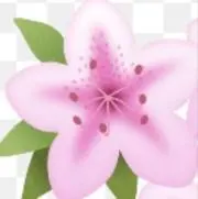 茶の画像
