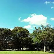 よしとの画像