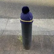 Tの画像
