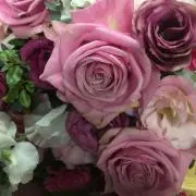 赤い花の画像
