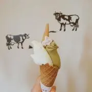 ラム