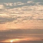 さきの画像
