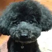 kazuの画像