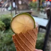 ビーバーの画像