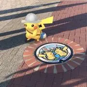 Bobの画像