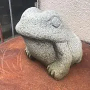 おかp