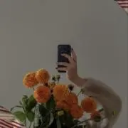 りんごの画像