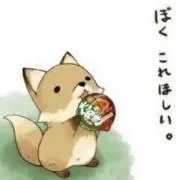 HINA.t