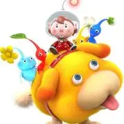 どんちゃんの画像