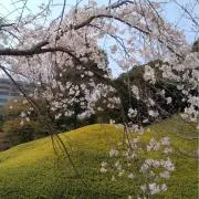れるり☆の画像