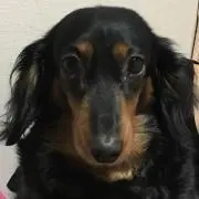 さおちゃん