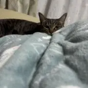 Riaの画像