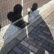 むぎ