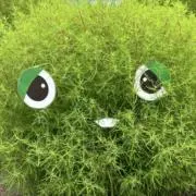 えびちゃん2号の画像