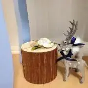 さけたらこの画像