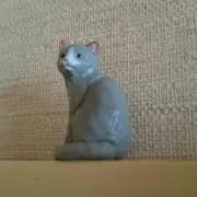 ＣＯＣＯの画像