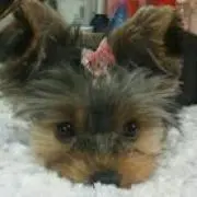 LUCKY❤HAPPYの画像