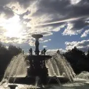P★の画像