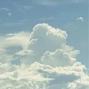 なーの画像