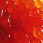 taku