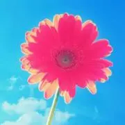 まいこの画像