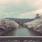 Misa@3/12～24まで不在の画像